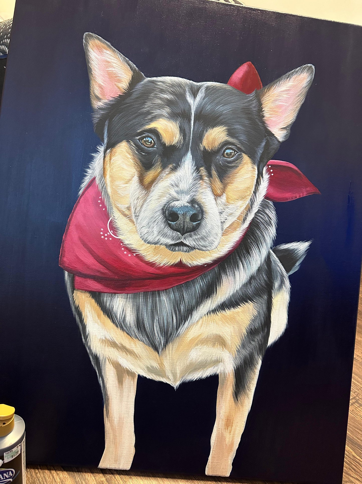 Custom Canvas 28x32 in
