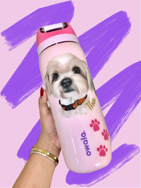 Custom Owala (original)